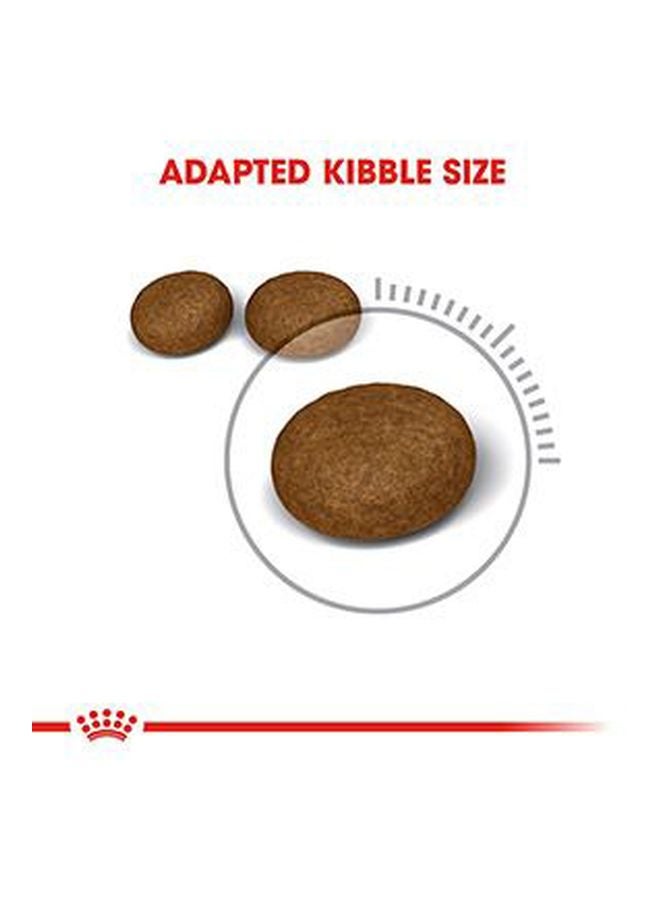 رويال كانين طعام مجفف للعناية بالشعر والبشرة 10كيلوجرام - Image 4