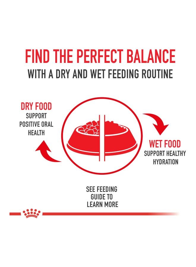 رويال كانين طعام مجفف للقطط المنزلية البالغة 2كيلوجرام - Image 3
