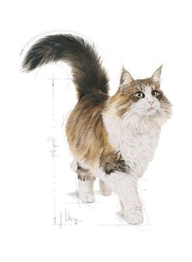 ROYAL CANIN Instinctive  Dry Food Pouch 85grams - Image 2