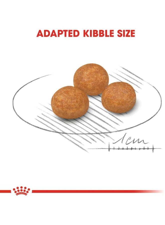 رويال كانين طعام إكس سمول للكلاب الكبيرة صغيرة الحجم بني 1.5كيلوجرام - Image 2