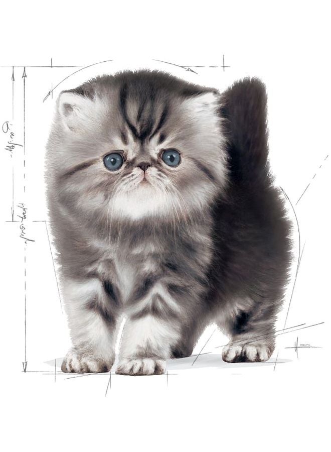 رويال كانين طعام للقطط الشيرازي الصغيرة 400جرام - Image 5