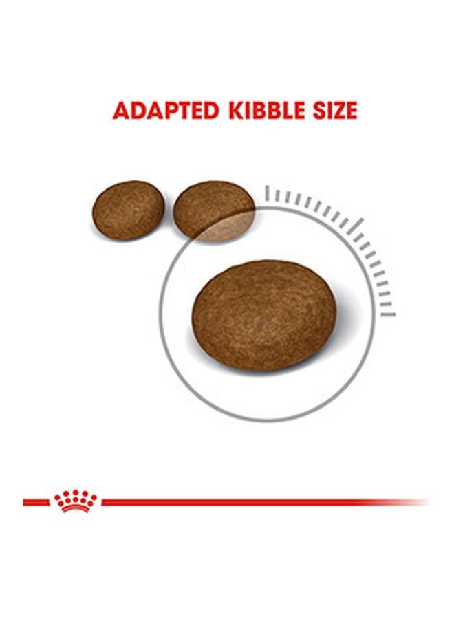 رويال كانين طعام للعناية بالشعر والجسم 10كيلوجرام - Image 3