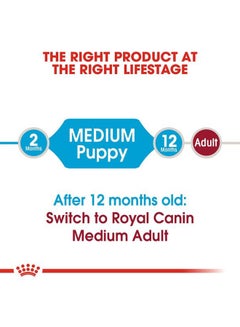 Medium Puppy Dry Food For Dog 4kg - v1608129686/N32675381A_2