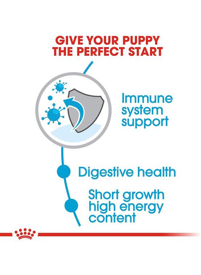 رويال كانين عبوة طعام بابي المجفف بحجم متوسط للكلاب 4كيلوجرام - Image 3