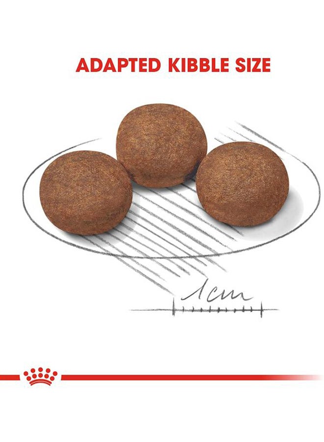 رويال كانين عبوة طعام بابي المجفف بحجم متوسط للكلاب 4كيلوجرام - Image 4