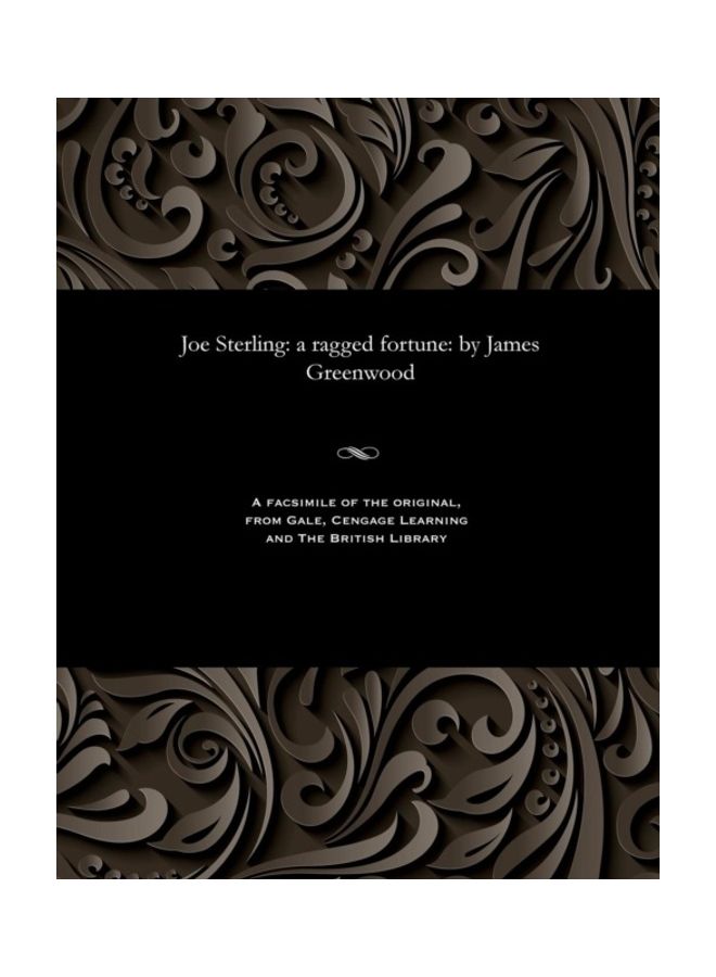 Joe Sterling: A Ragged Fortune: By James Greenwood paperback english