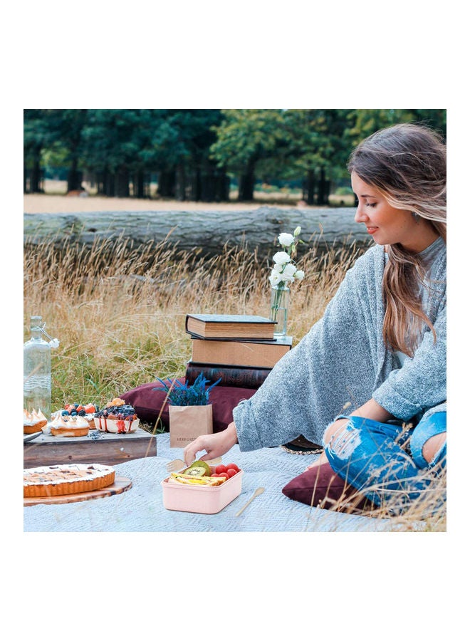 Stainless Steel Lunch Box 4-Grid Microwave Leakproof Four Compartment Meal Box Green 26 x 6 x 20cm - Image 2