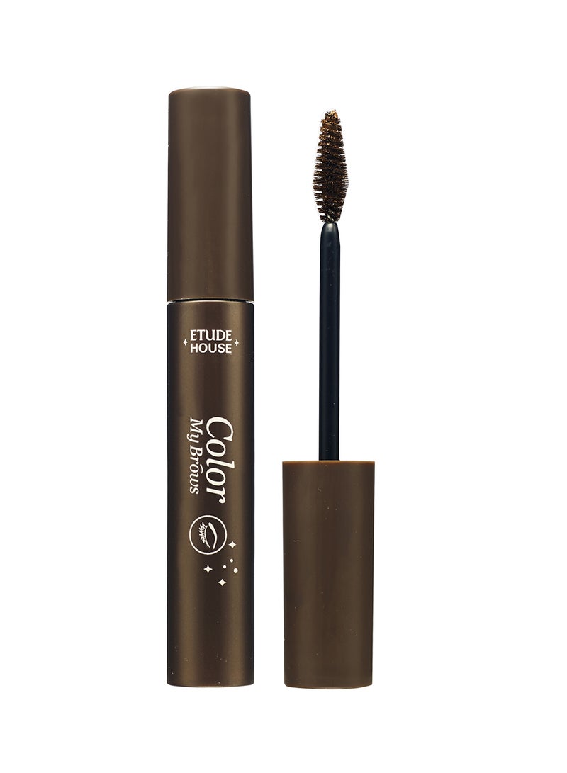 Colour My Brow Large #01 Rich Brown