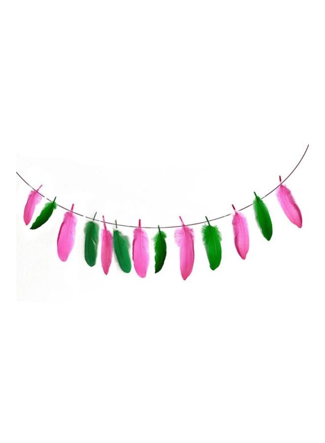 Sharpdo 16-Piece Party Decoration Balloons With Feather Banner - Image 2