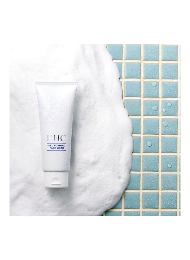 دي اتش سي غسول رغوي لطيف للوجه 100ملليلتر - Image 2