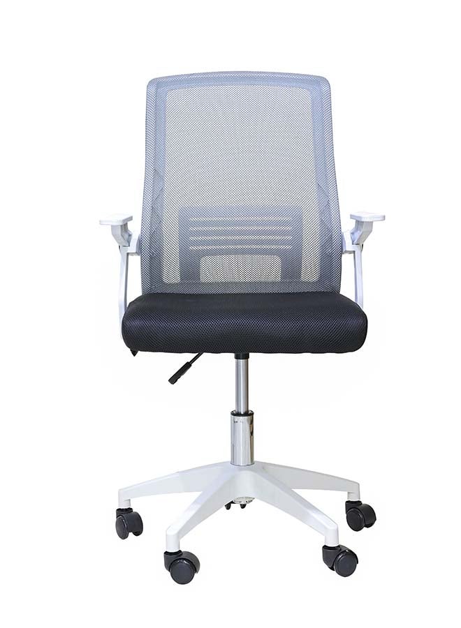 AFT - Mesh Low Back Chair Edurance Series For Home And Office multicolour H99 x L57 x W53.5 cmcm - Image 1