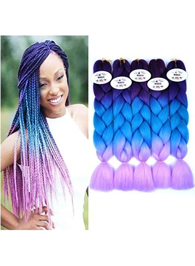 5 Pcs Synthetic Braiding Hair Extensions Kanekalon Fiber,Ombre Jumbo Braids Hair Bundles for Women,100g/Pcs 24 In Multicolor 24inch