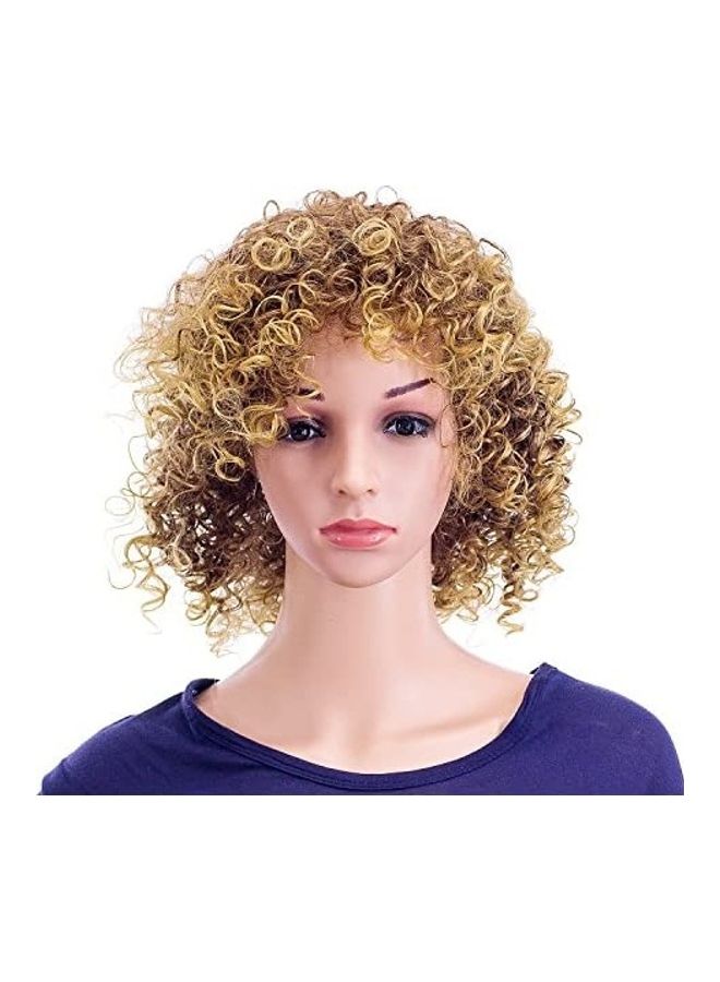SWACC Curly Wigs for Women Brown