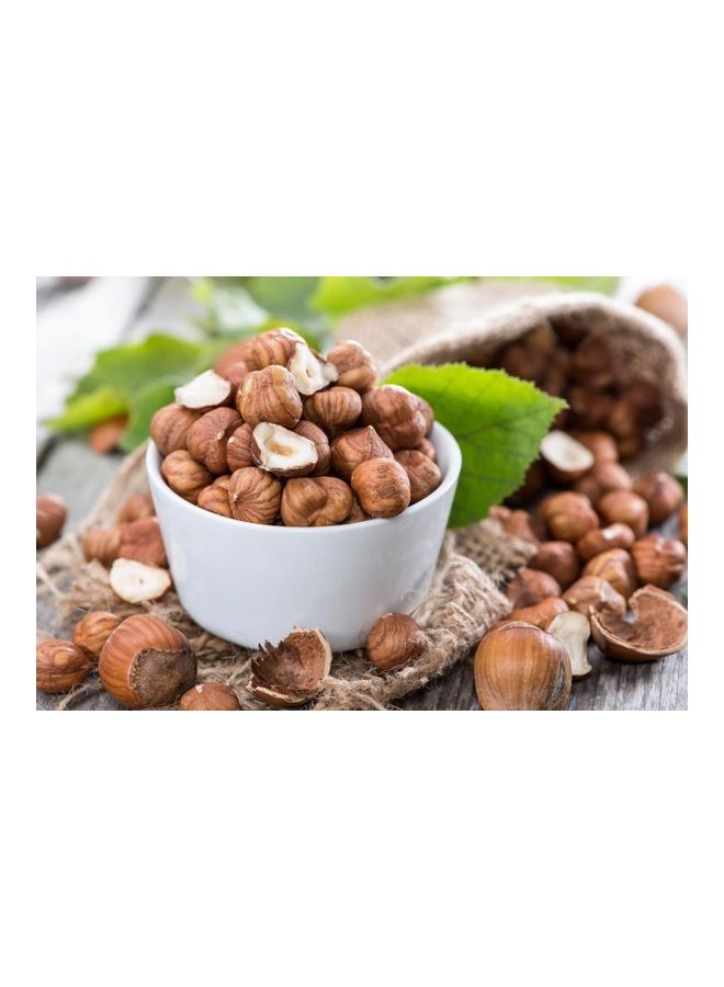 ANL CHOCO - Lexus Milky Compound Chocolate Filled With Hazelnut Cream 215 Pieces 2kg - Image 1