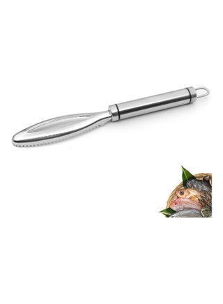 Fish Scaler Remover With Double Sawtooth Silver 24.00 x 2.00 x 3.20cm - v1608996143/N43315843A_1