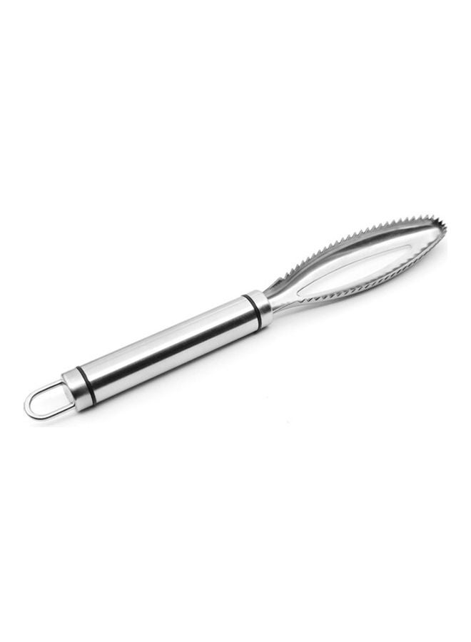 Fish Scaler Remover With Double Sawtooth Silver 24.00 x 2.00 x 3.20cm