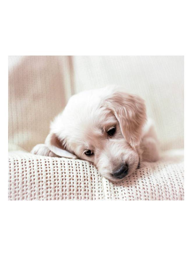 Fast Print Golden Retriever Vinyl Self Adhesive Wall Sticker Multicolor 80x60cm