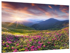 فاست برينت لوحة فنية للزينة من قماش الكانفاس بطبعة زهور من بونامايسون متعدد الألوان 45x30سم  - Image 4