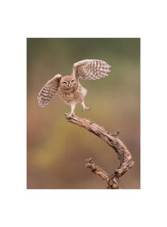 IM Just A Gigalo Wall Art Canvas Print Multicolour 60x80cm