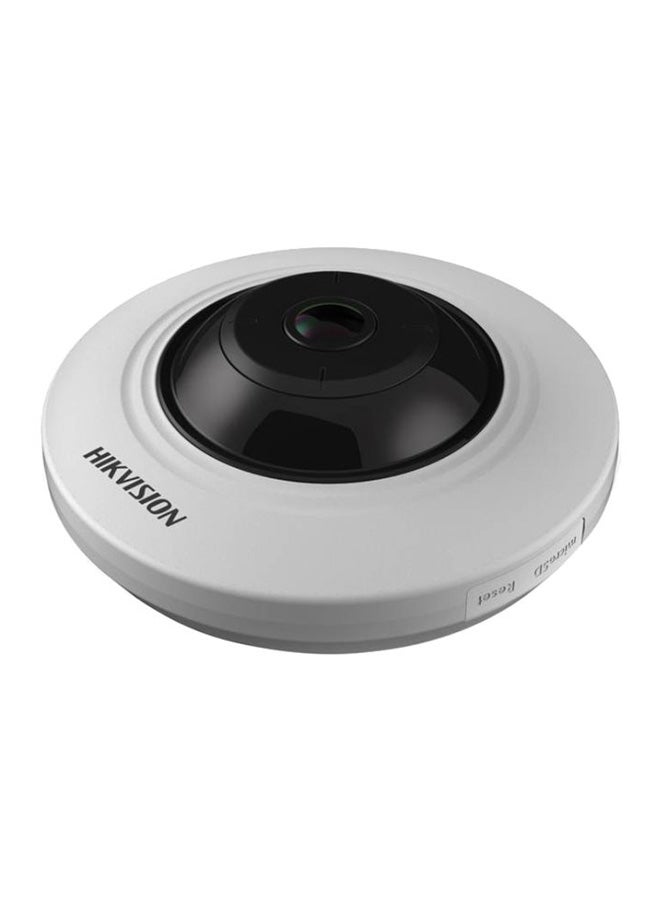 Fisheye Surveillance Camera