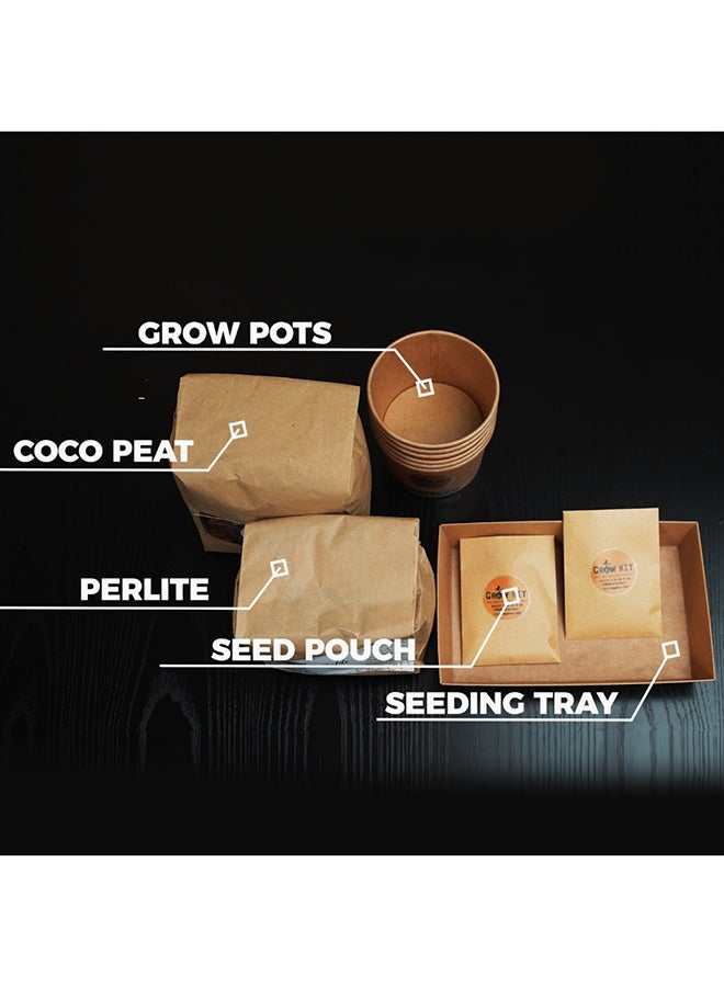 VEGGITECH Home Herb Garden Hydroponic Grow Kit 800grams - Image 3