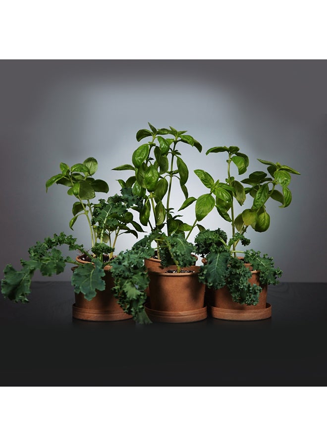 VEGGITECH Home Herb Garden Hydroponic Grow Kit 800grams - Image 4