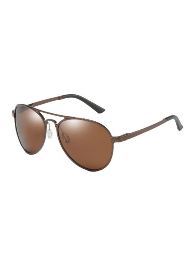 Aviator Sunglasses