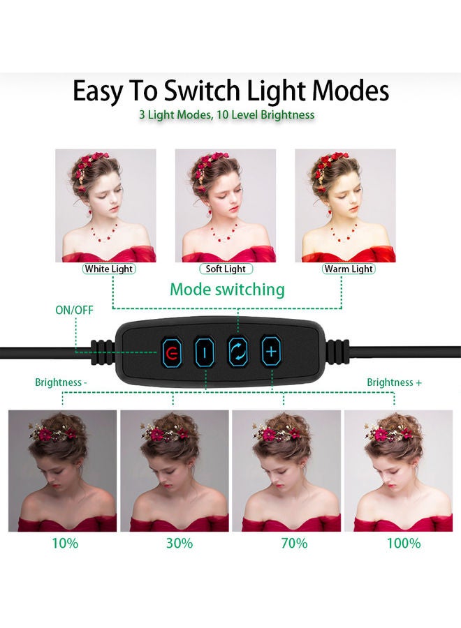 4 in 1 Desktop Cosmetic Live Lamp Multicolour - Image 4