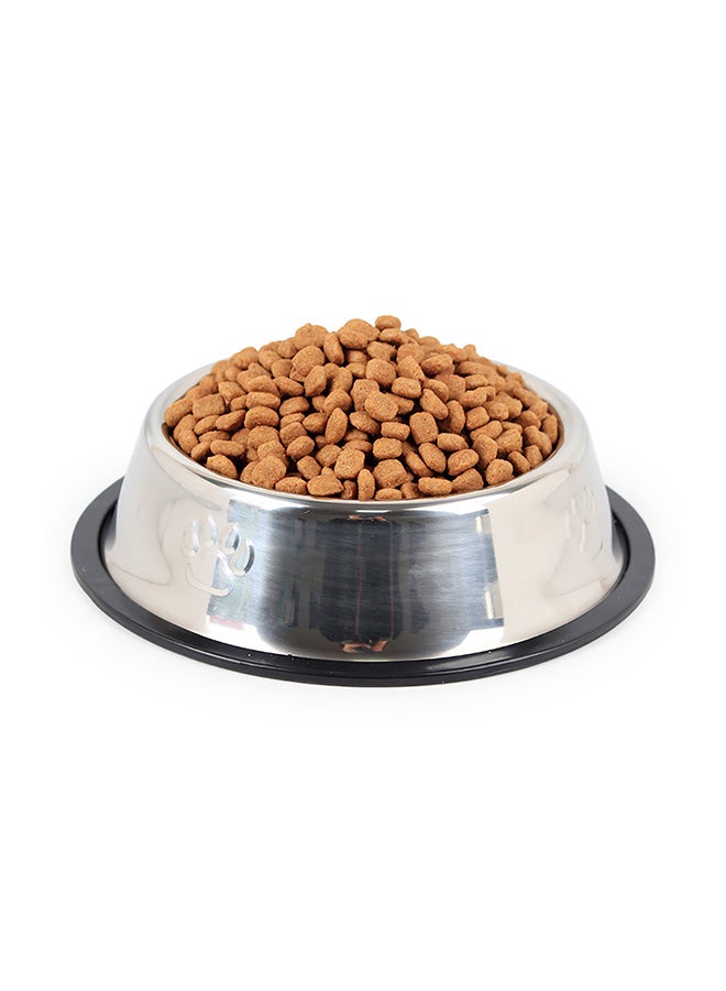 Generic Anti-Skid Thickening Feeding Supplies Pet Bowl Silver 18x18x4.5cm  - Image 2
