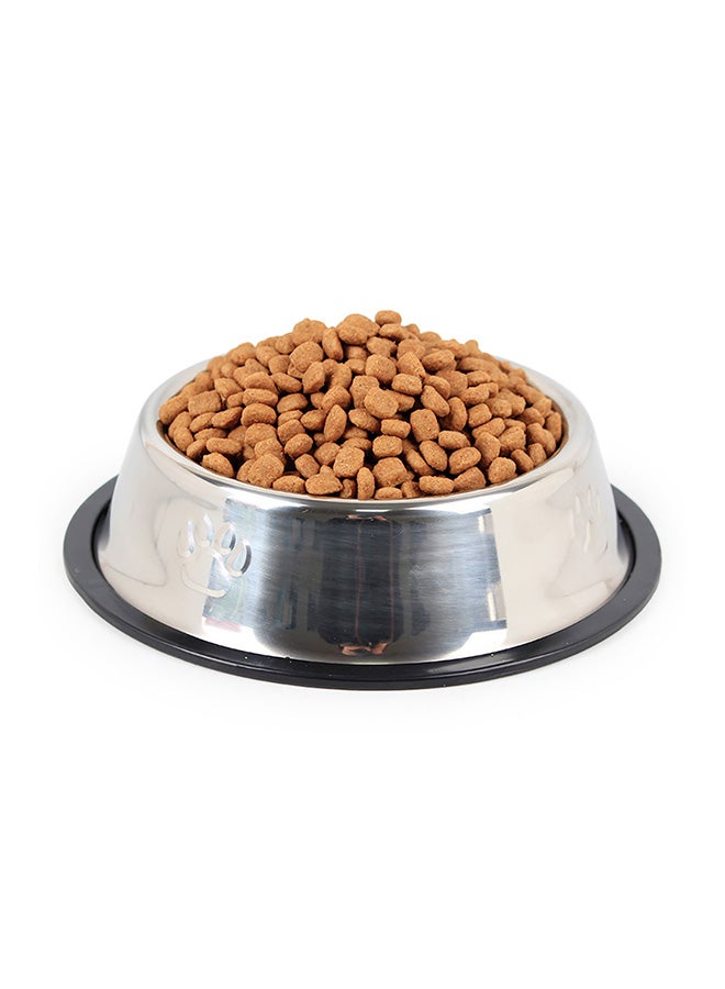 Anti-Skid Thickening Feeding Supplies Pet Bowl Silver 15.5x11.5x4cm - Image 2