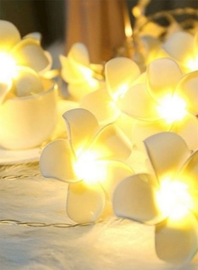 سلة سلسلة أضواء بمصابيح على شكل زهور أبيض 2متر - Image 2