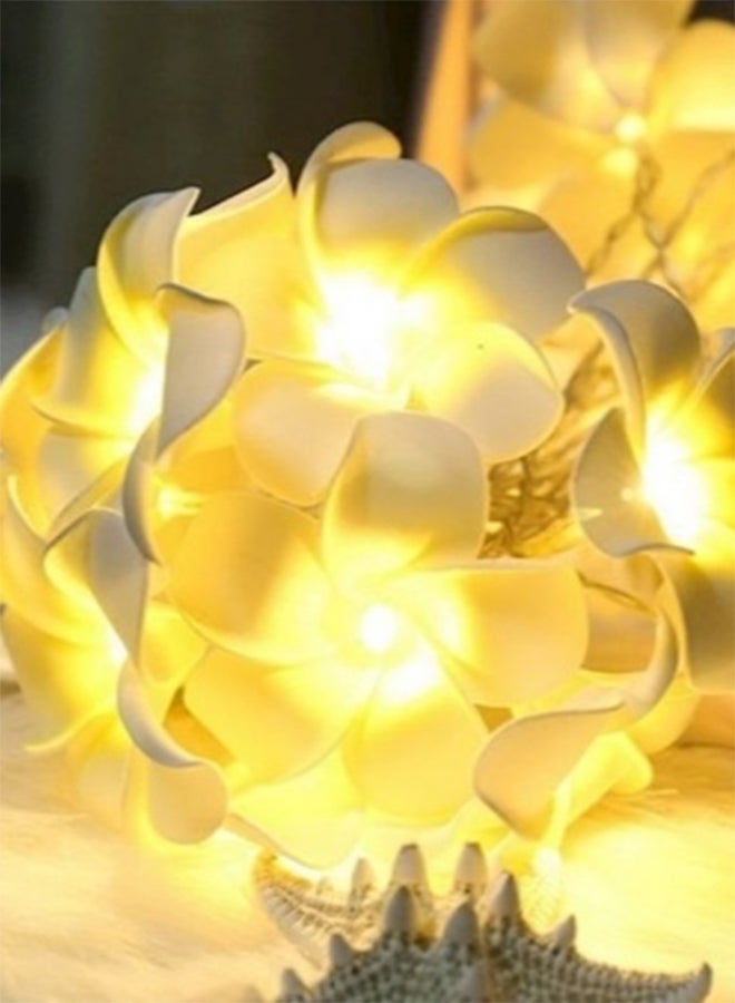 سلة سلسلة أضواء بمصابيح على شكل زهور أبيض 2متر - Image 3