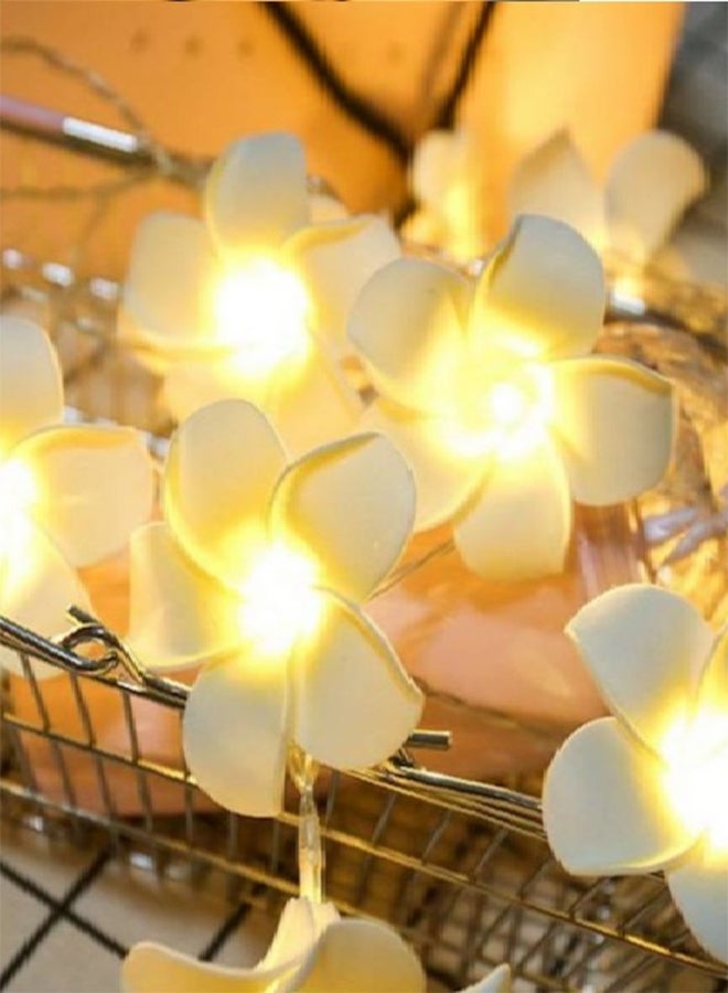 سلة سلسلة أضواء بمصابيح على شكل زهور أبيض 2متر - Image 4