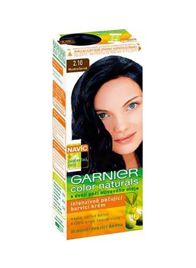 غارنييه كريم تلوين الشعر الدائم كولور ناتشورالز أسود مزرق 2.10 100جرام