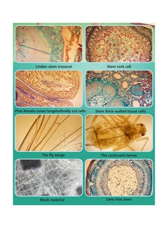 Generic 400X Microscope for Mobile Phone Lens  - Image 3