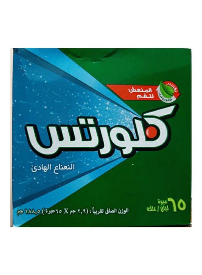 عبوة علكة بنكهة النعناع الهادئ من 65 قطعة 2.9جرام