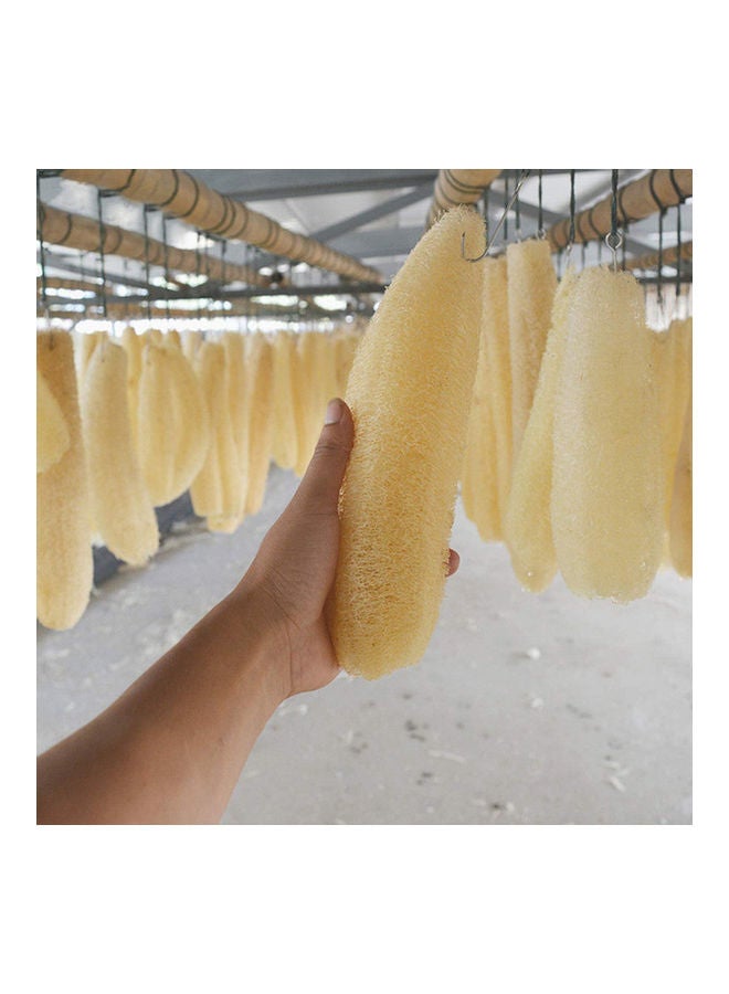 Natural Organic Loofah Cream 11.8 inch-15.7 inch(30-40cm)inch  - Image 2