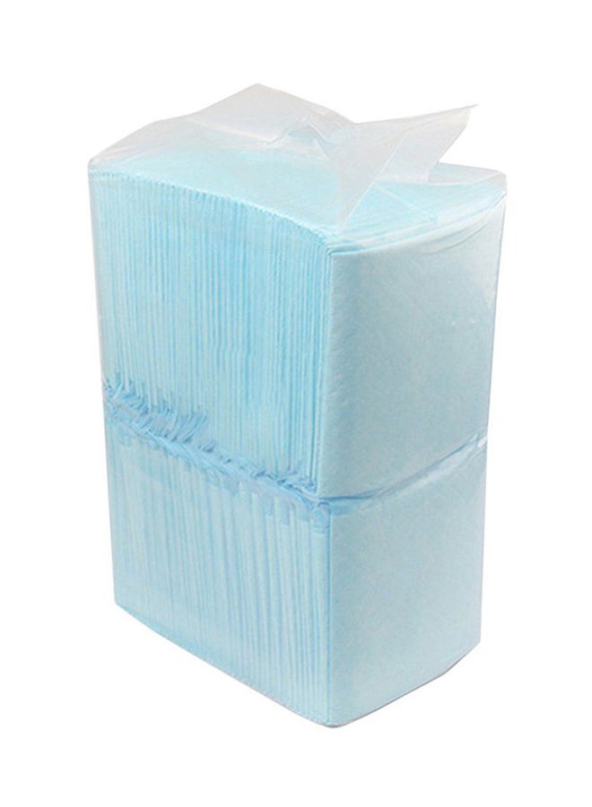 40-Piece Toilet Training Disposable Diaper Blue 30cm - Image 1