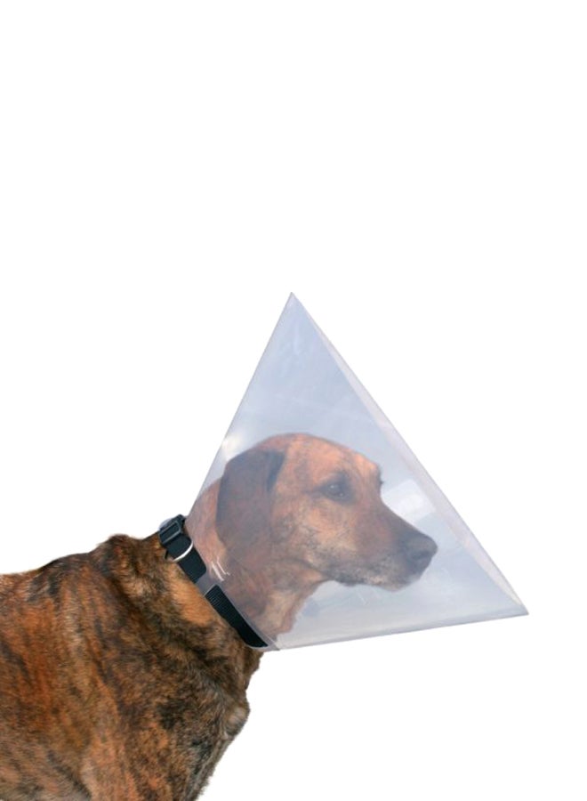 Trixie Plastic Protective Dog Collar Clear 25cm - Image 2