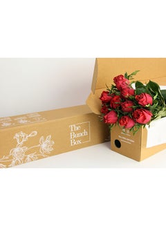Generic Freedom Red 10 Stems 