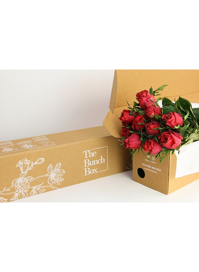 Generic Freedom Red 10 Stems