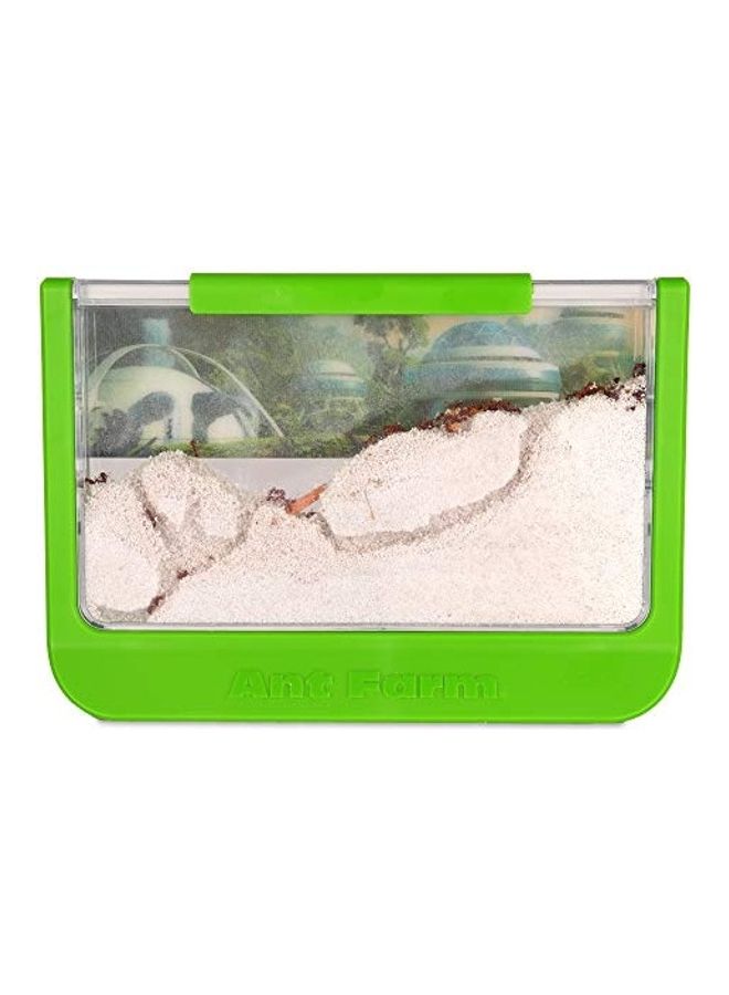 Uncle Milton - Observe Live Ants Nature Learning Toy 2x12inch - Image 1