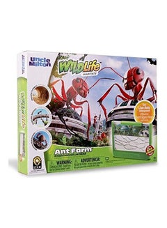 Observe Live Ants Nature Learning Toy 2x12inch