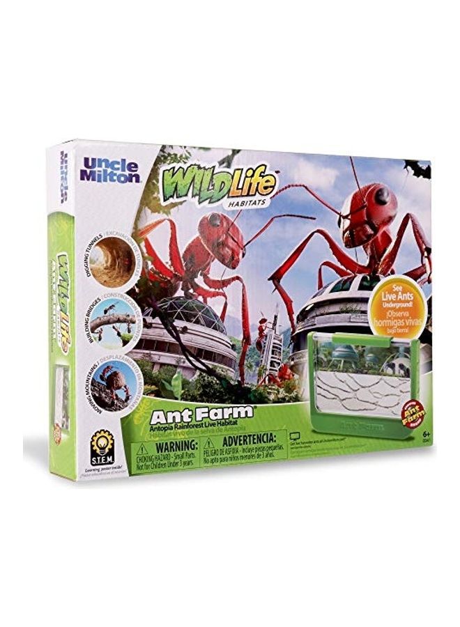 Uncle Milton - Observe Live Ants Nature Learning Toy 2x12inch - Image 1