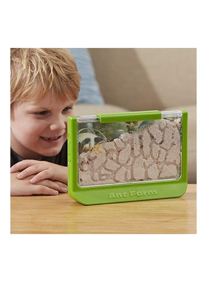 Uncle Milton - Observe Live Ants Nature Learning Toy 2x12inch - Image 1