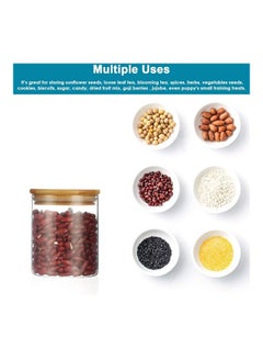 Lushh 3 Piece Glass Food Storage Jar  Set With Airtight Bamboo Lid Clear 500ml  - Image 3