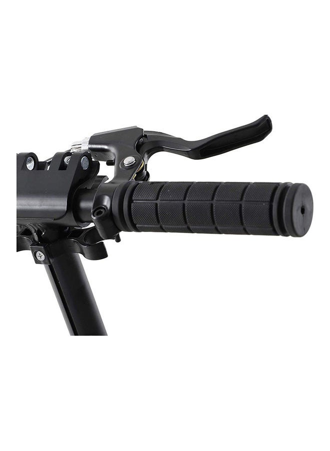 Adult Kick Scooter