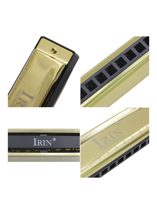 10-Holes Metal Harmonica With Box - v1610477667/N43677244A_4