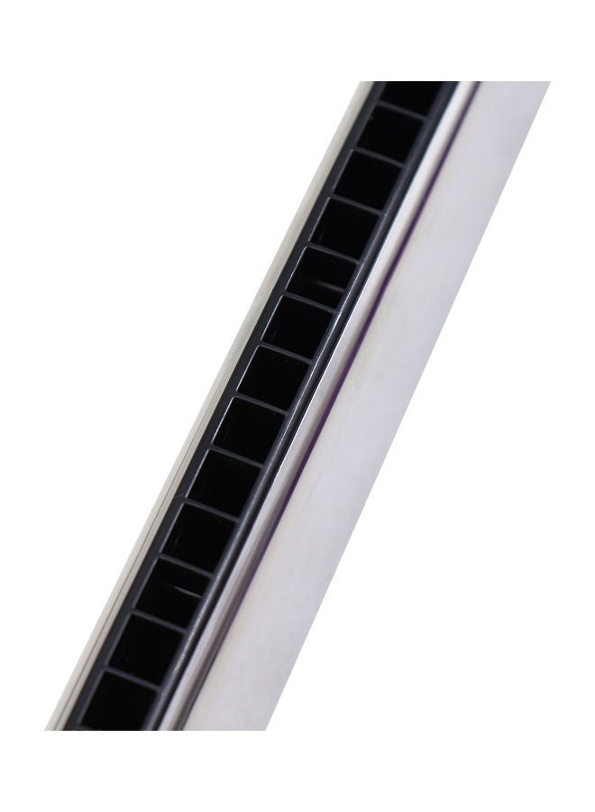 Generic 24-Holes Tremolo Harmonica  - Image 2