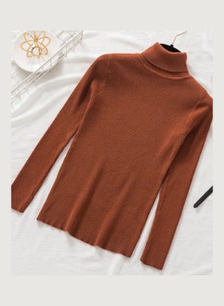Turtleneck Pullover Sweater Brown - v1610518792/N43640888V_1
